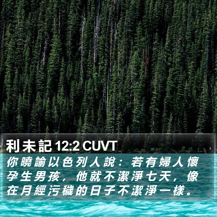 利 未 記 12:2 CUVT Bible Study