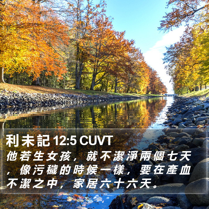 利 未 記 12:5 CUVT Bible Study