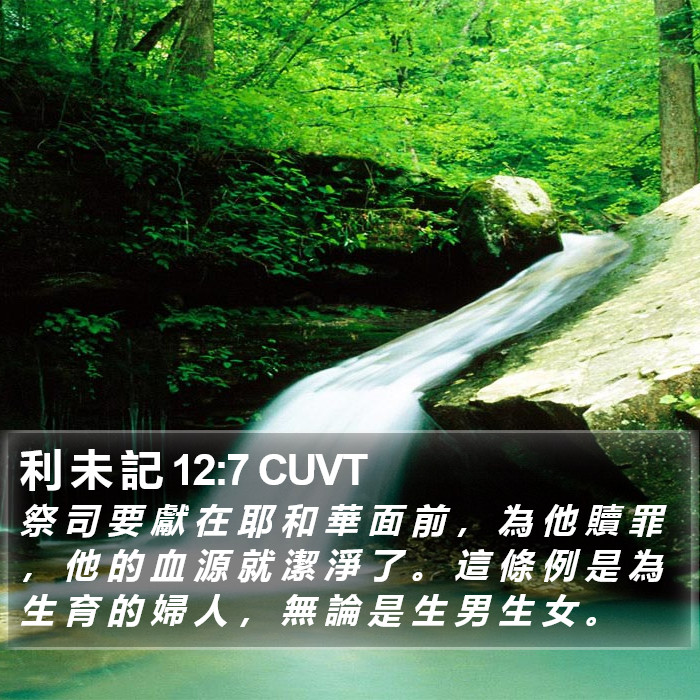 利 未 記 12:7 CUVT Bible Study