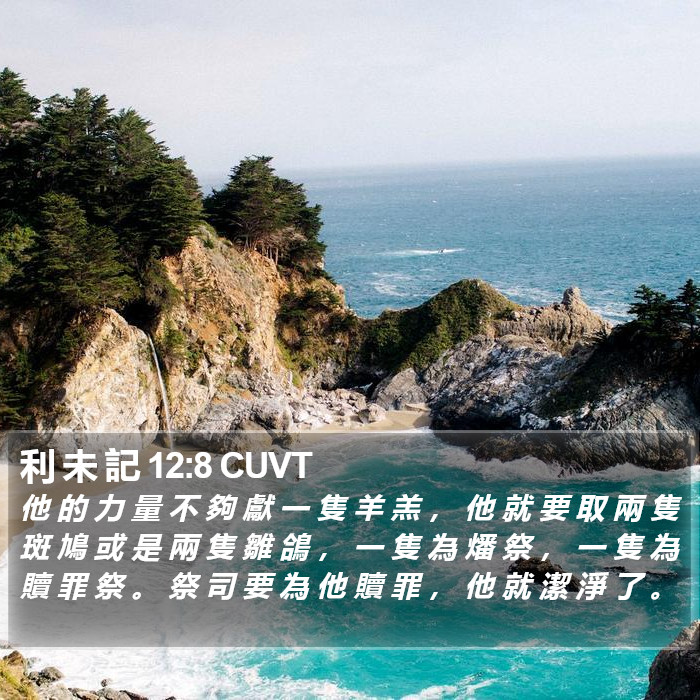 利 未 記 12:8 CUVT Bible Study