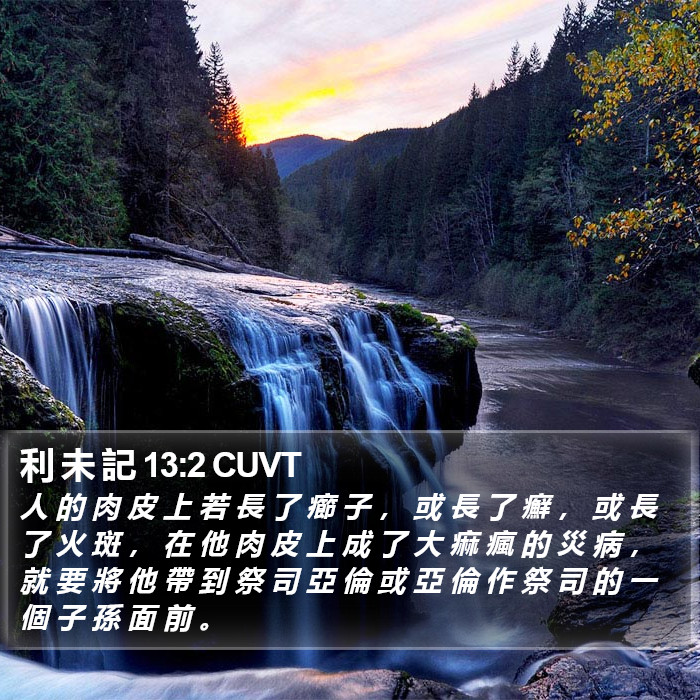利 未 記 13:2 CUVT Bible Study