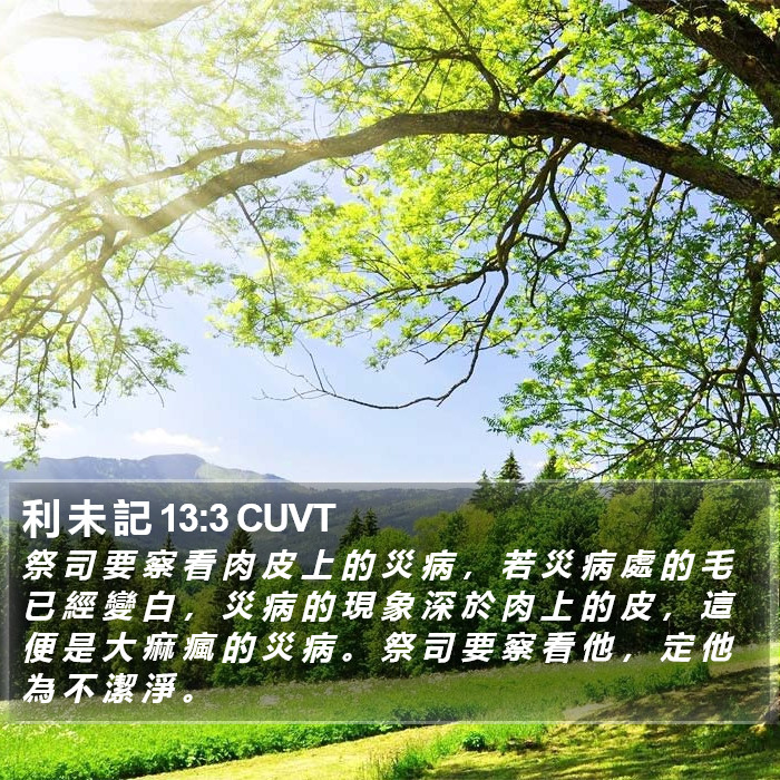 利 未 記 13:3 CUVT Bible Study