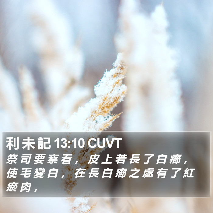 利 未 記 13:10 CUVT Bible Study