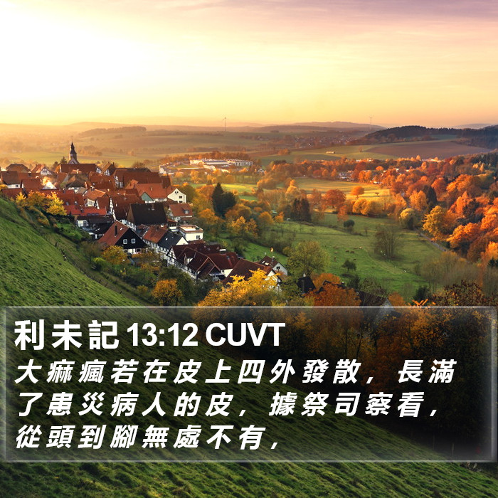 利 未 記 13:12 CUVT Bible Study