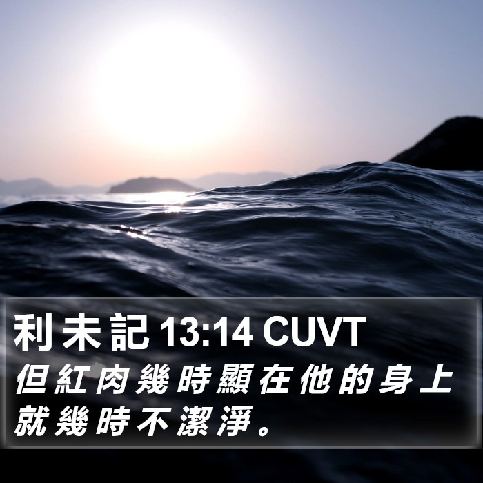 利 未 記 13:14 CUVT Bible Study