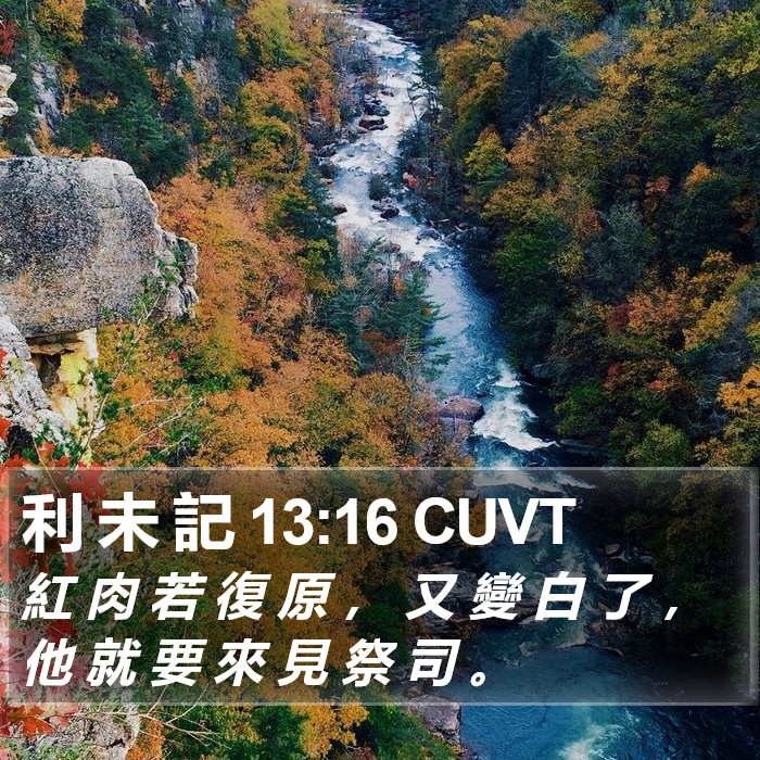 利 未 記 13:16 CUVT Bible Study