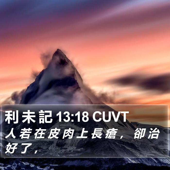 利 未 記 13:18 CUVT Bible Study