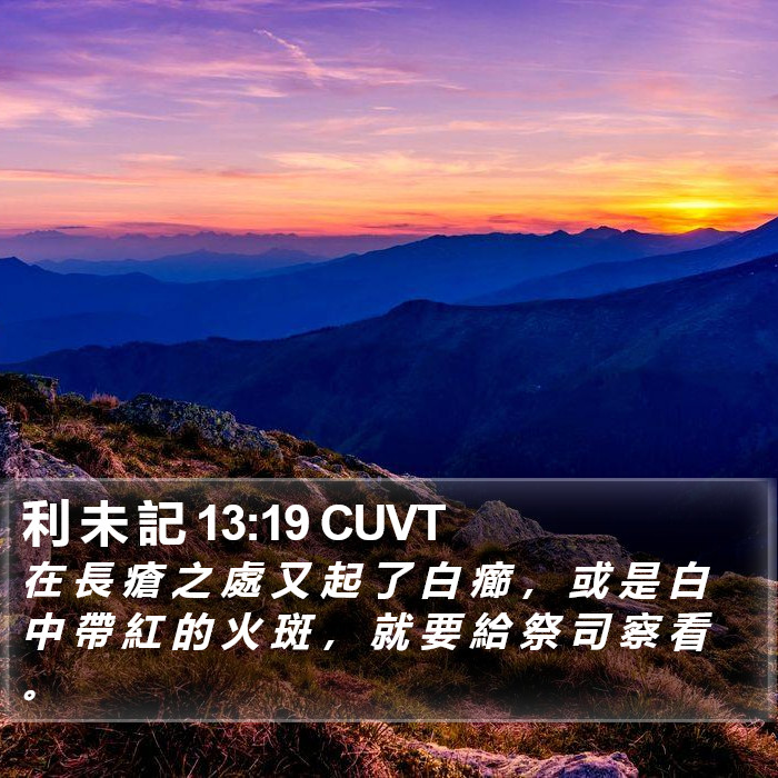 利 未 記 13:19 CUVT Bible Study