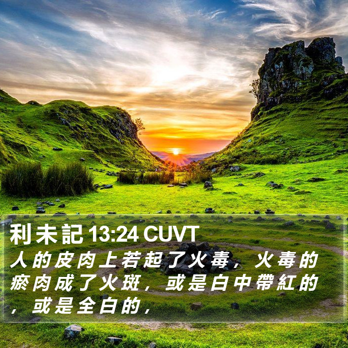 利 未 記 13:24 CUVT Bible Study