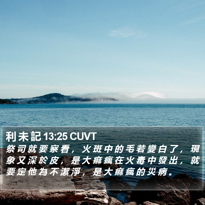 利 未 記 13:25 CUVT Bible Study
