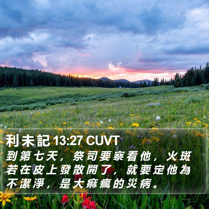 利 未 記 13:27 CUVT Bible Study
