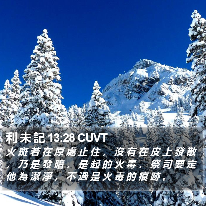 利 未 記 13:28 CUVT Bible Study