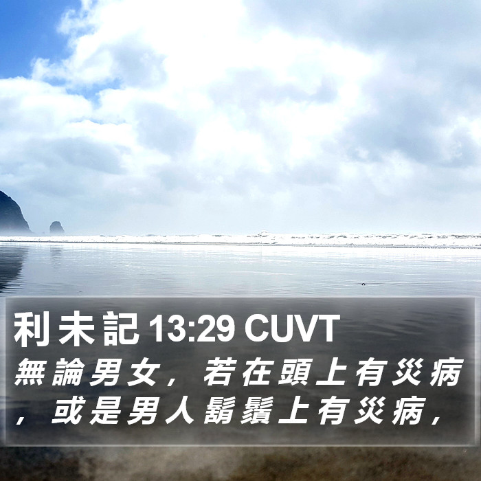 利 未 記 13:29 CUVT Bible Study