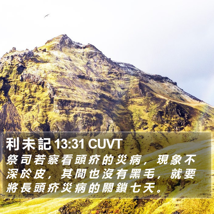 利 未 記 13:31 CUVT Bible Study