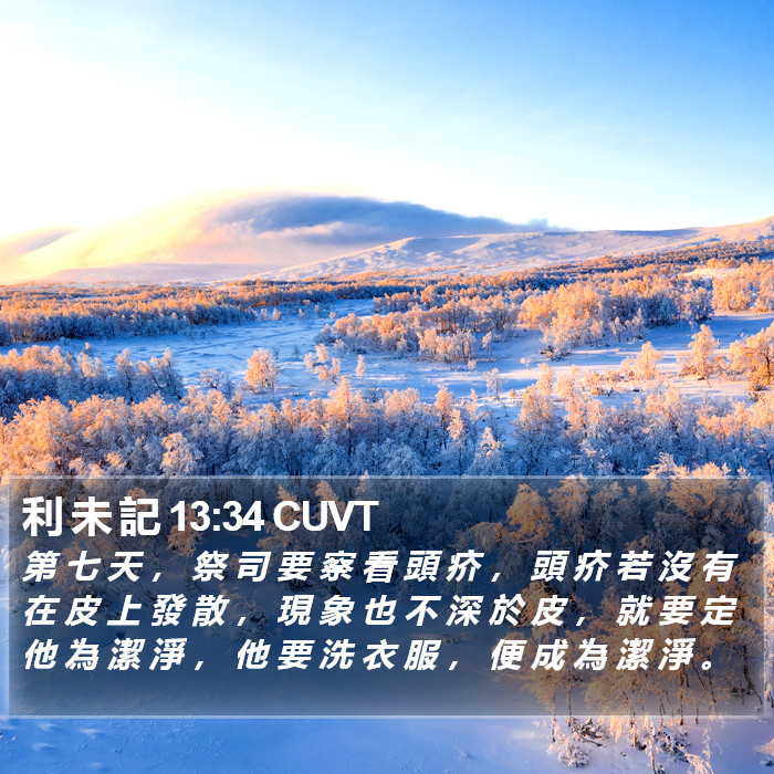 利 未 記 13:34 CUVT Bible Study