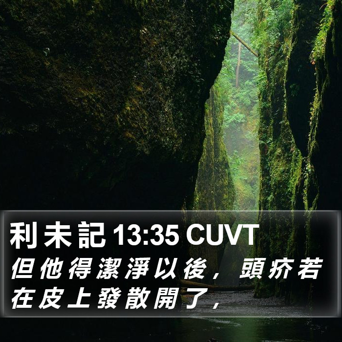 利 未 記 13:35 CUVT Bible Study
