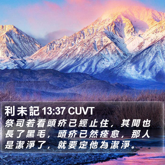 利 未 記 13:37 CUVT Bible Study