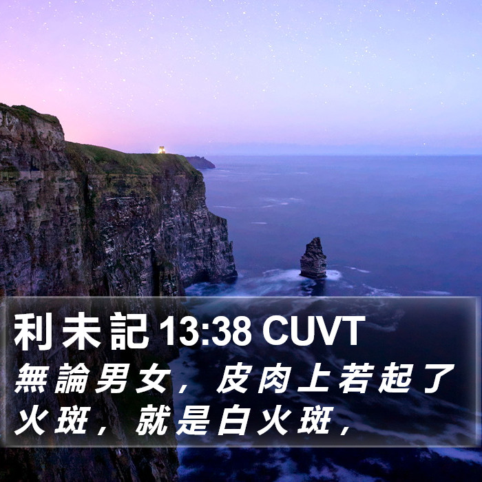 利 未 記 13:38 CUVT Bible Study
