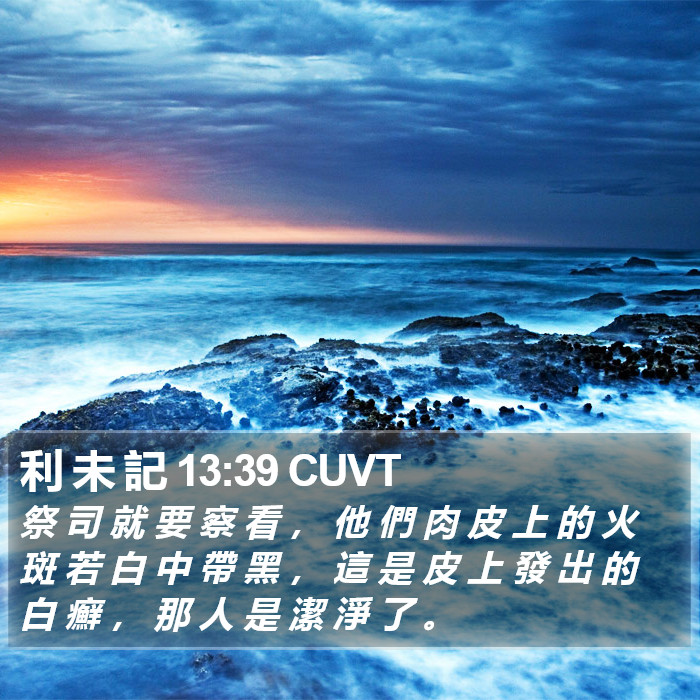 利 未 記 13:39 CUVT Bible Study