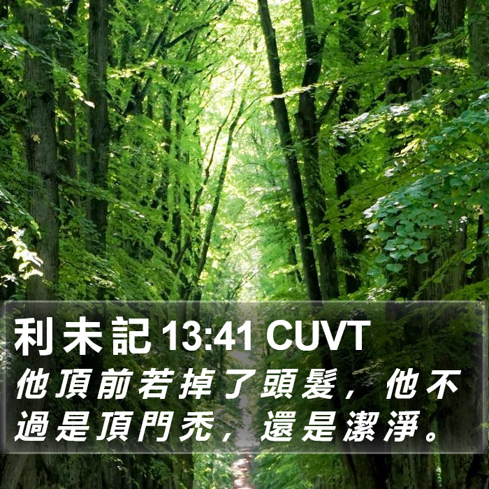 利 未 記 13:41 CUVT Bible Study