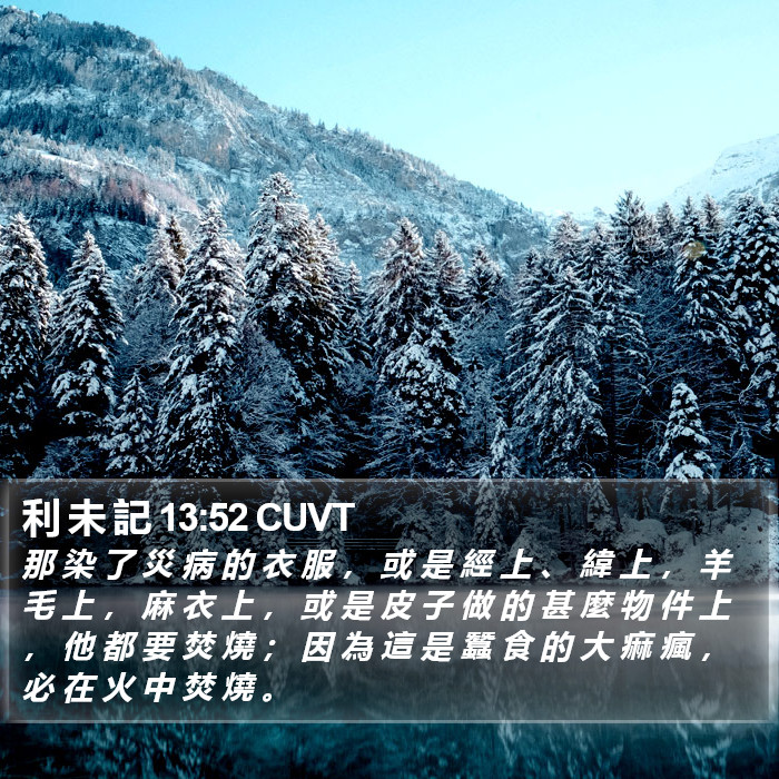 利 未 記 13:52 CUVT Bible Study