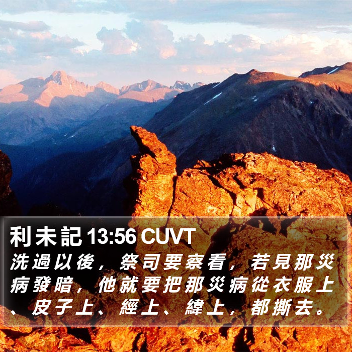 利 未 記 13:56 CUVT Bible Study