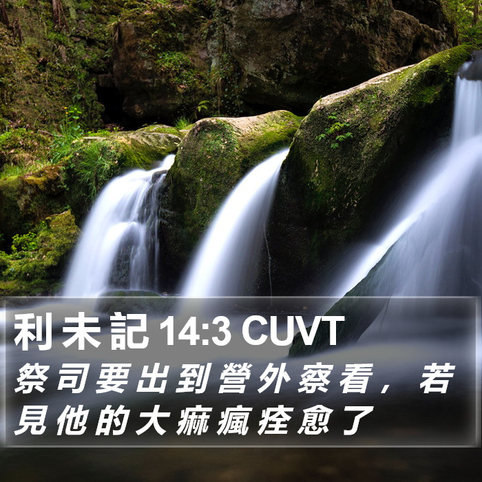 利 未 記 14:3 CUVT Bible Study