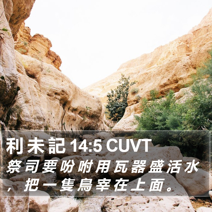 利 未 記 14:5 CUVT Bible Study