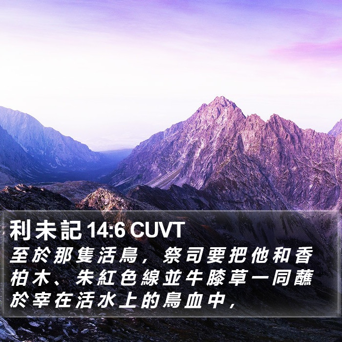 利 未 記 14:6 CUVT Bible Study