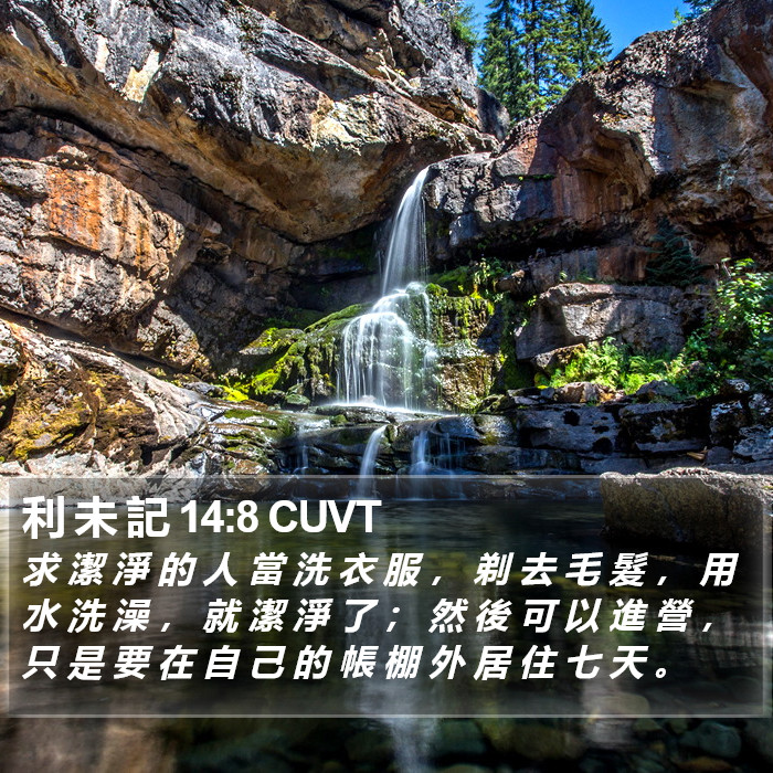 利 未 記 14:8 CUVT Bible Study