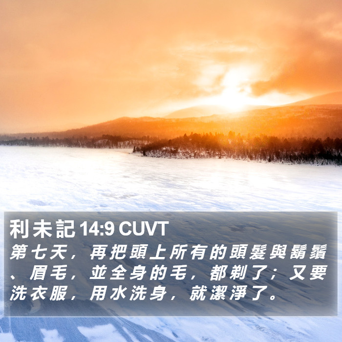 利 未 記 14:9 CUVT Bible Study