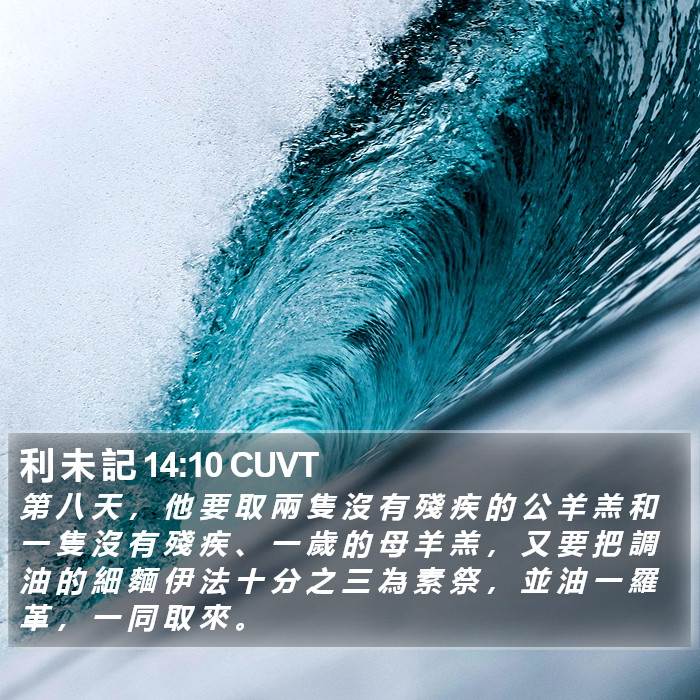 利 未 記 14:10 CUVT Bible Study