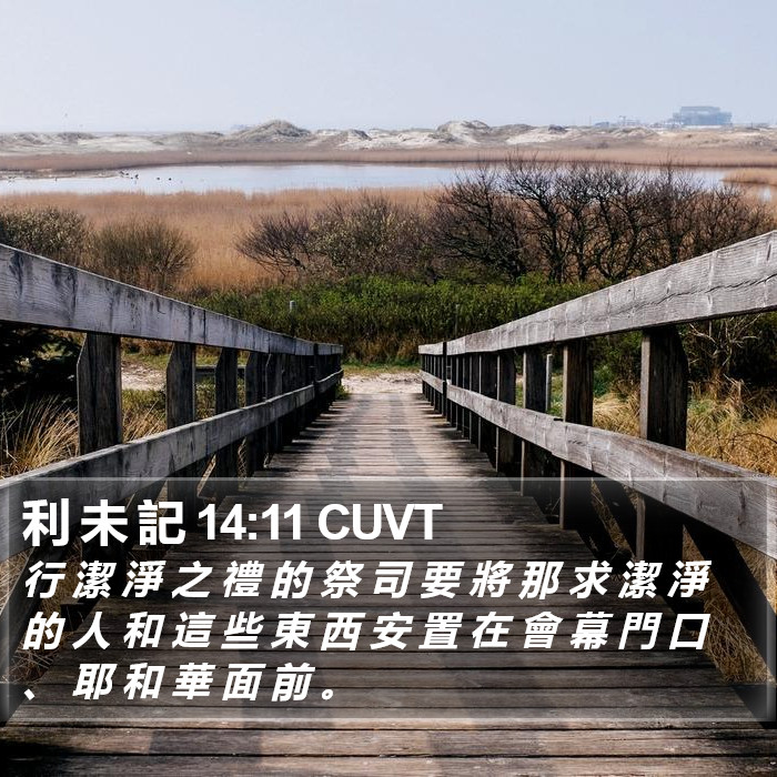 利 未 記 14:11 CUVT Bible Study