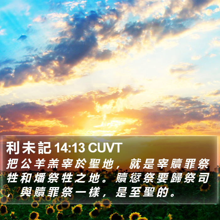 利 未 記 14:13 CUVT Bible Study