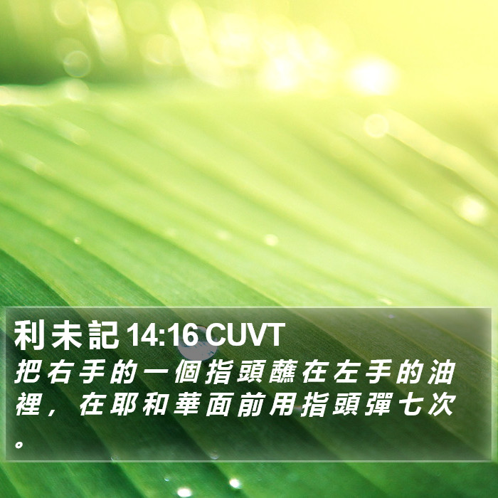 利 未 記 14:16 CUVT Bible Study