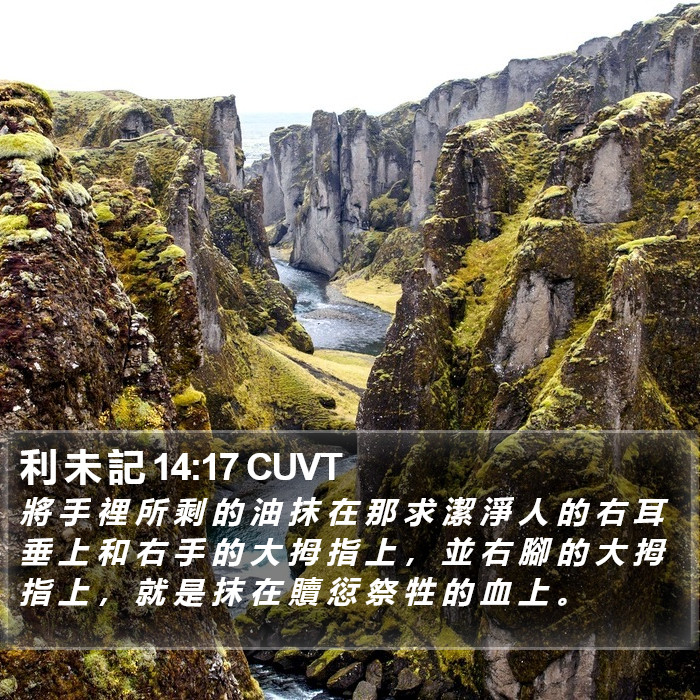 利 未 記 14:17 CUVT Bible Study