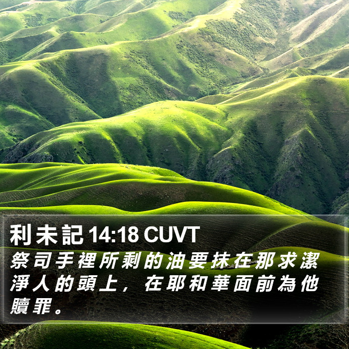 利 未 記 14:18 CUVT Bible Study