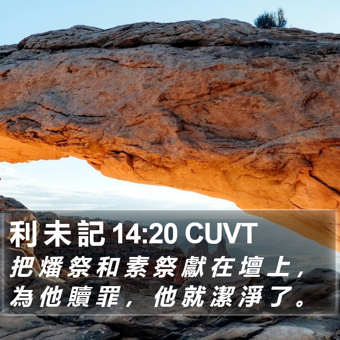 利 未 記 14:20 CUVT Bible Study