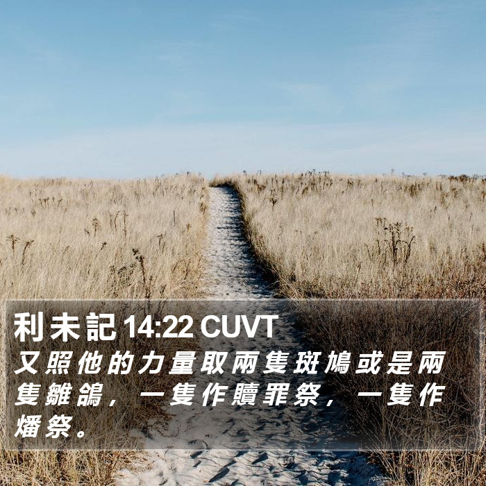 利 未 記 14:22 CUVT Bible Study