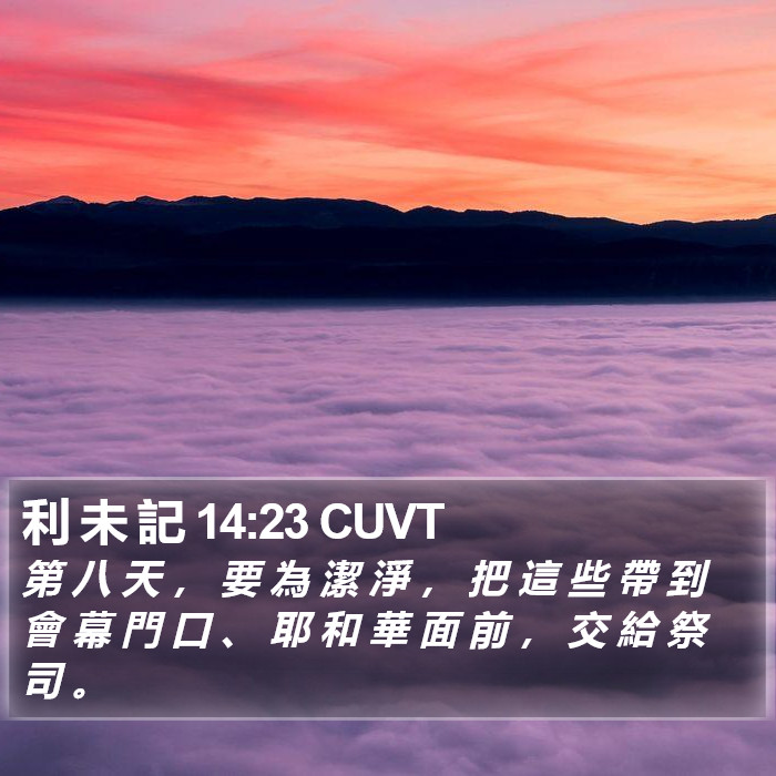 利 未 記 14:23 CUVT Bible Study