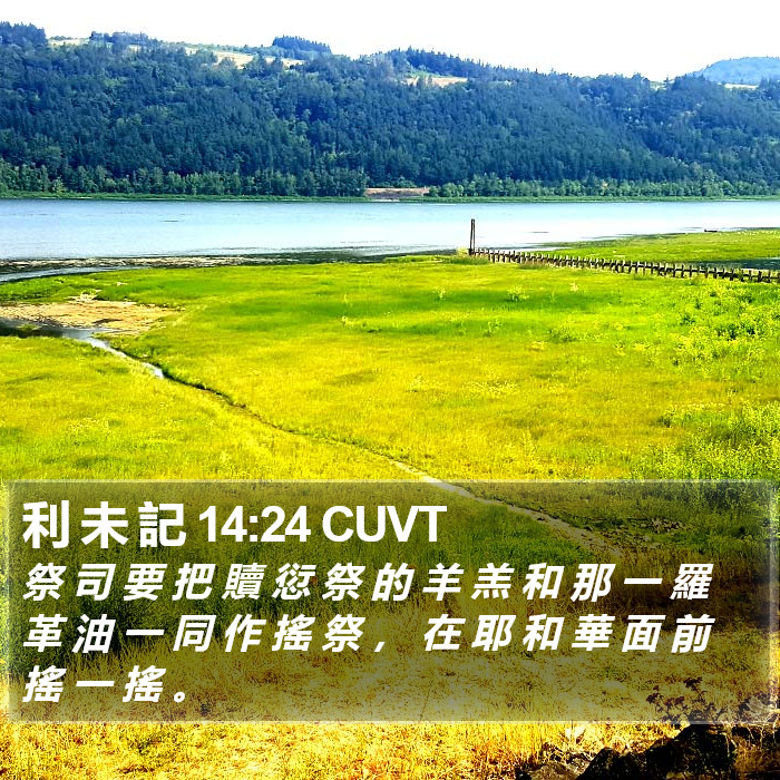 利 未 記 14:24 CUVT Bible Study