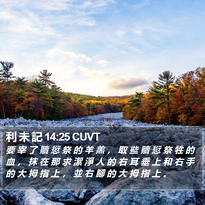 利 未 記 14:25 CUVT Bible Study