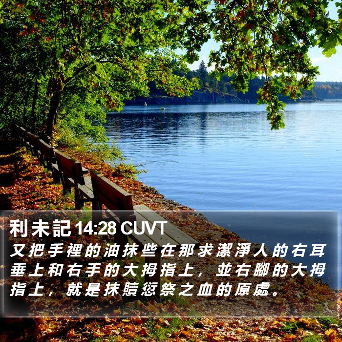 利 未 記 14:28 CUVT Bible Study