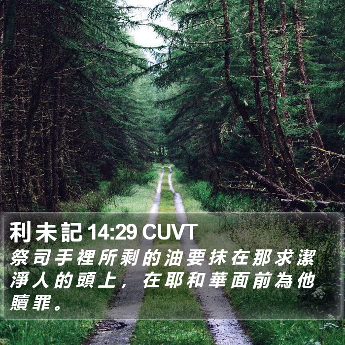 利 未 記 14:29 CUVT Bible Study