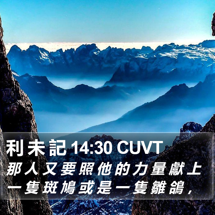 利 未 記 14:30 CUVT Bible Study