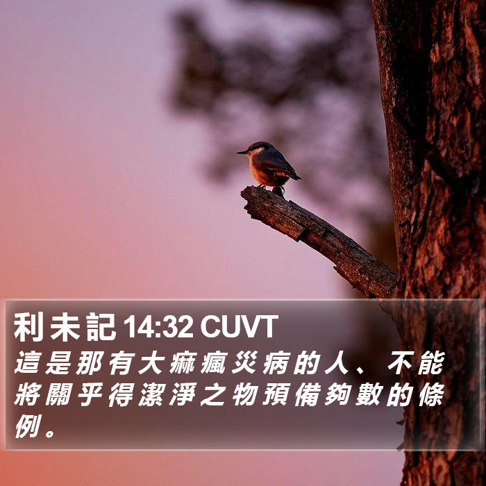 利 未 記 14:32 CUVT Bible Study