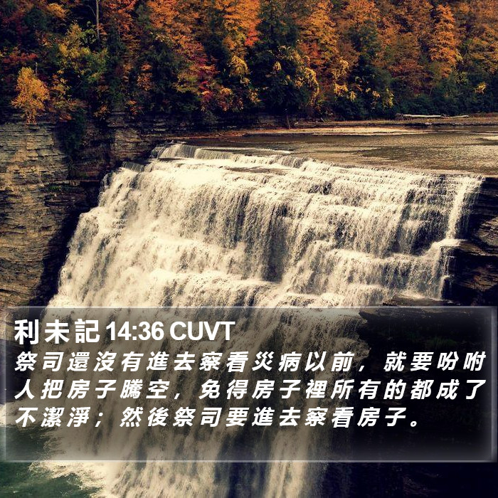 利 未 記 14:36 CUVT Bible Study