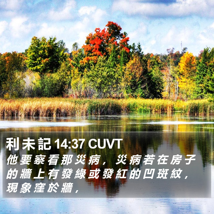 利 未 記 14:37 CUVT Bible Study