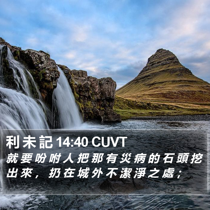 利 未 記 14:40 CUVT Bible Study