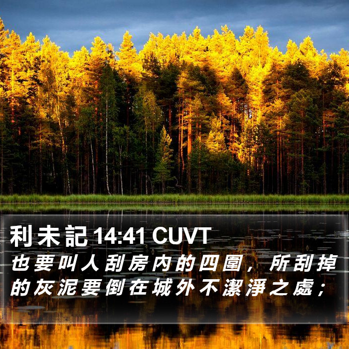 利 未 記 14:41 CUVT Bible Study